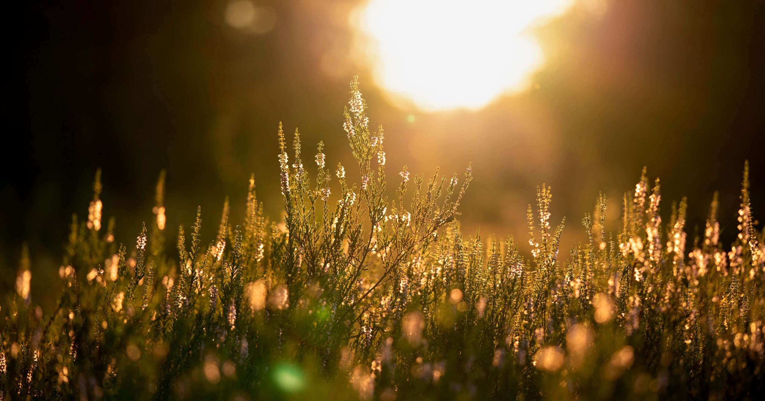 Flomaser - Especialistas en energías renovables